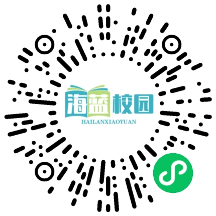 西宁中心学校举行2025年“美育润心、梦想启航”小学生迎新年音乐会(2024年第39期）-图片2